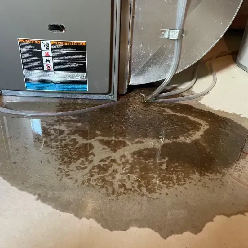 Appliance Leak Cleanup in Montgomery County, MO